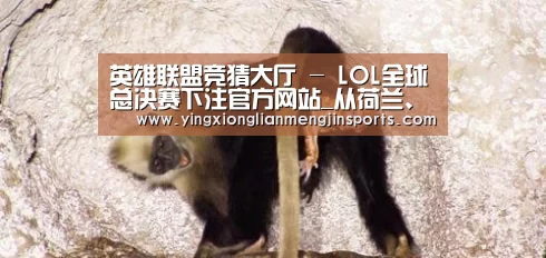 英雄联盟竞猜大厅 - LOL全球总决赛下注官方网站