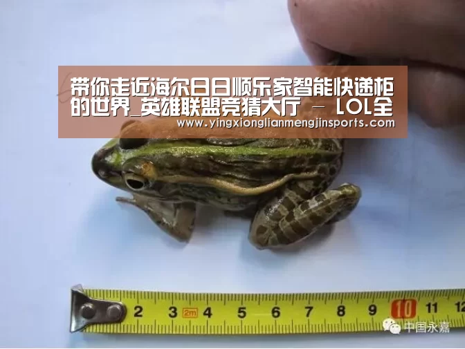 英雄联盟竞猜大厅 - LOL全球总决赛下注官方网站